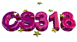 CS 318